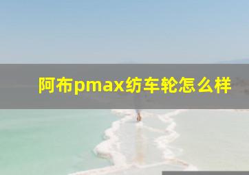 阿布pmax纺车轮怎么样