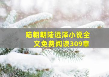 陆朝朝陆远泽小说全文免费阅读309章