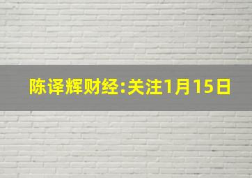 陈译辉财经:关注1月15日