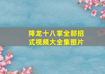 降龙十八掌全部招式视频大全集图片