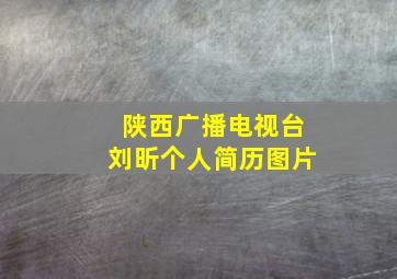 陕西广播电视台刘昕个人简历图片