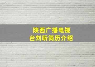 陕西广播电视台刘昕简历介绍