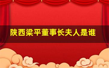 陕西梁平董事长夫人是谁