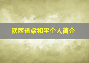 陕西省梁和平个人简介