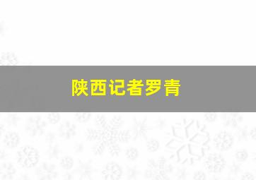 陕西记者罗青