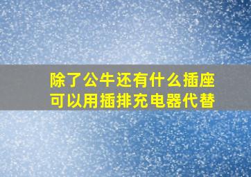 除了公牛还有什么插座可以用插排充电器代替