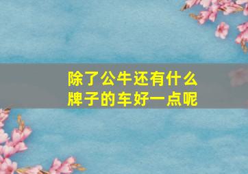 除了公牛还有什么牌子的车好一点呢