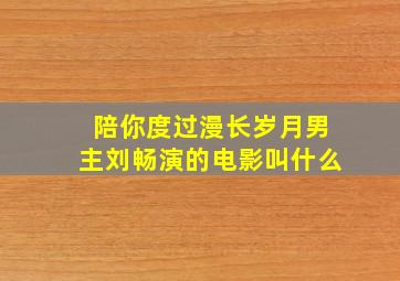 陪你度过漫长岁月男主刘畅演的电影叫什么