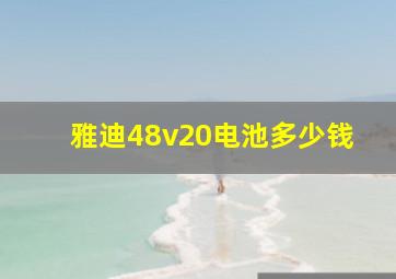 雅迪48v20电池多少钱