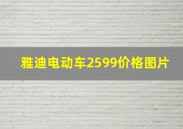 雅迪电动车2599价格图片