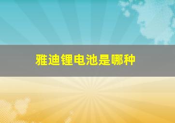 雅迪锂电池是哪种