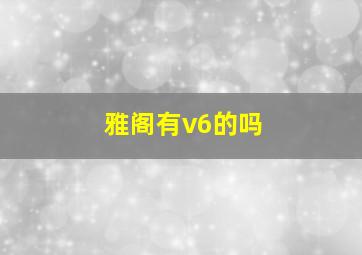 雅阁有v6的吗