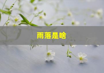 雨落是啥