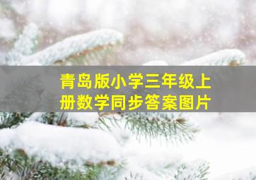 青岛版小学三年级上册数学同步答案图片