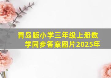 青岛版小学三年级上册数学同步答案图片2025年