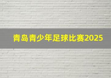 青岛青少年足球比赛2025