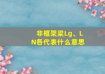 非框架梁Lg、LN各代表什么意思