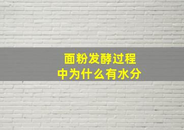 面粉发酵过程中为什么有水分