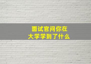 面试官问你在大学学到了什么