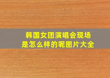 韩国女团演唱会现场是怎么样的呢图片大全