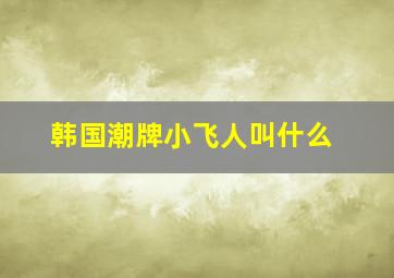 韩国潮牌小飞人叫什么