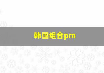 韩国组合pm