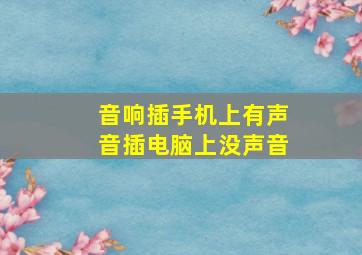 音响插手机上有声音插电脑上没声音