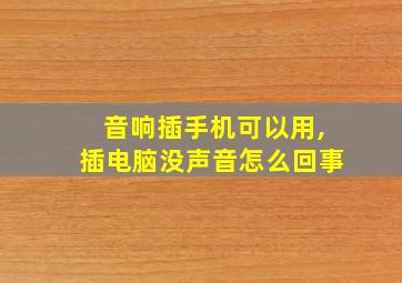 音响插手机可以用,插电脑没声音怎么回事