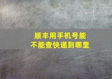 顺丰用手机号能不能查快递到哪里