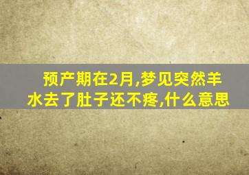 预产期在2月,梦见突然羊水去了肚子还不疼,什么意思