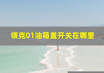 领克01油箱盖开关在哪里