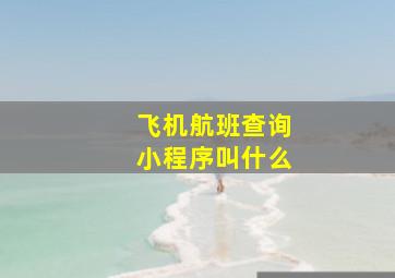 飞机航班查询小程序叫什么