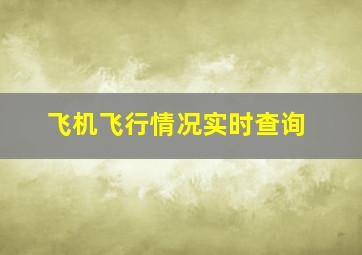 飞机飞行情况实时查询