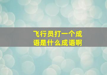 飞行员打一个成语是什么成语啊