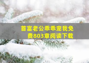 首富老公乖乖宠我免费803章阅读下载