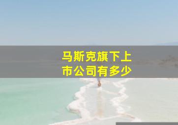 马斯克旗下上市公司有多少