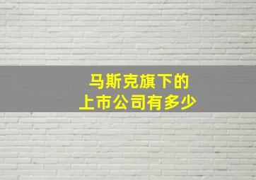 马斯克旗下的上市公司有多少