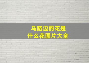 马路边的花是什么花图片大全