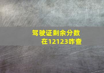 驾驶证剩余分数在12123咋查