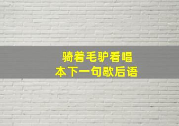 骑着毛驴看唱本下一句歇后语