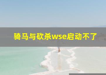 骑马与砍杀wse启动不了