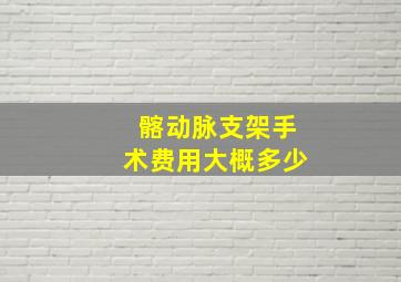 髂动脉支架手术费用大概多少