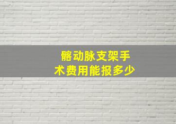 髂动脉支架手术费用能报多少