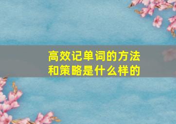 高效记单词的方法和策略是什么样的