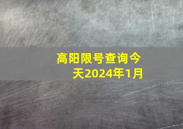 高阳限号查询今天2024年1月