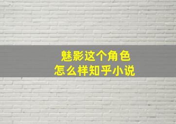 魅影这个角色怎么样知乎小说