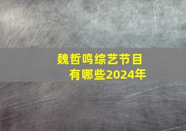 魏哲鸣综艺节目有哪些2024年