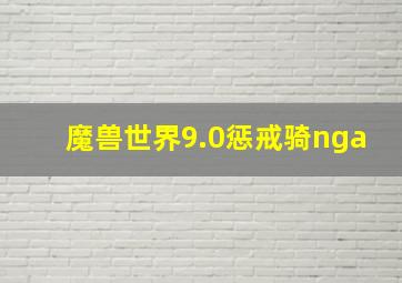 魔兽世界9.0惩戒骑nga