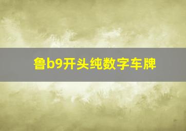 鲁b9开头纯数字车牌