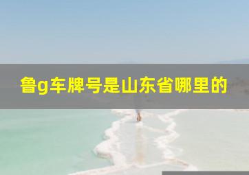 鲁g车牌号是山东省哪里的